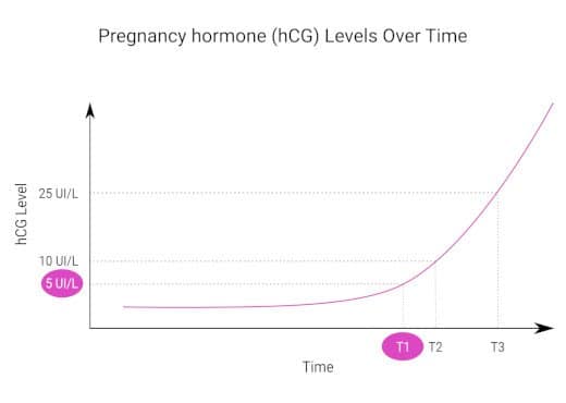 Patris Health - Chart increase of pregnancy hormone over time